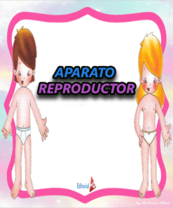 Aparato Reproductor para niños