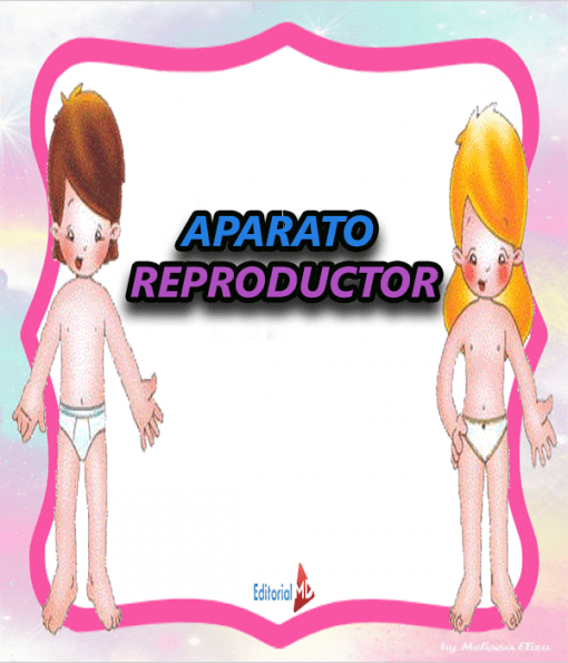 Aparato Reproductor para niños