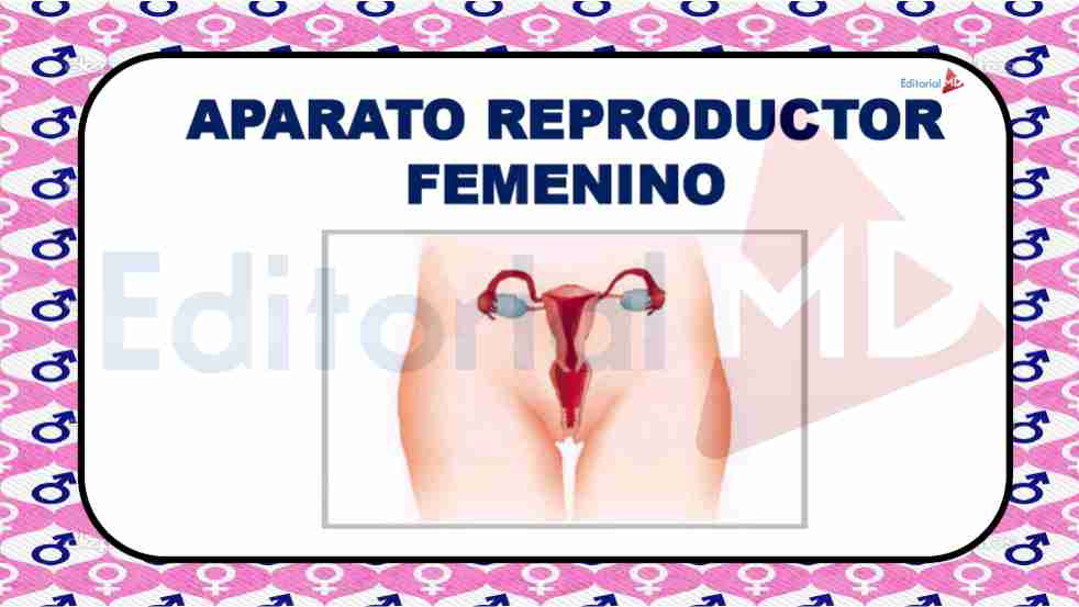 Aparato reproductos Femenino