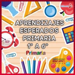 Aprendizajes Esperados fundamentales primaria