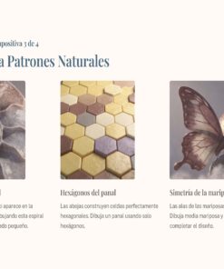 Artes Visuales 1° Pagina 24