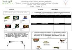 Examen Trimestral Ciencia Y Tecnología 1 (Biología)