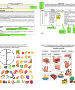 BIO2 NEM