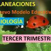 Planeaciones de biologia tercer trimestre