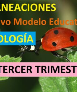 Planeaciones de biologia tercer trimestre