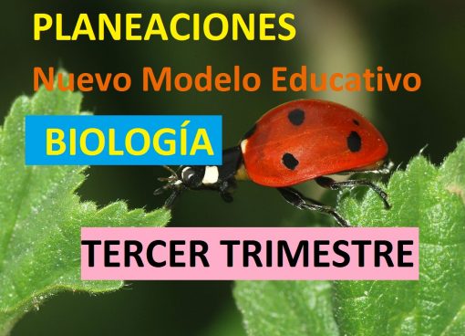 Planeaciones de biologia tercer trimestre