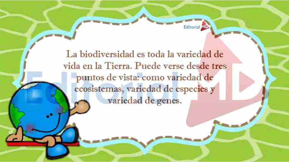 biodiversidad-para-ninos