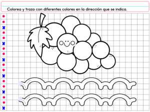 Un dibujo en blanco y negro de uvas con una cara sonriente aparece sobre dos líneas de calco onduladas. Ideal para PREESCOLAR 1 CUADERNILLO DE TRABAJO 2026, guía de instrucciones en español para calcar y colorear sobre fondo cuadriculado.