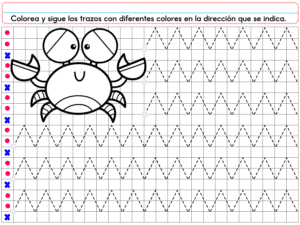 Una hoja de trabajo de PREESCOLAR 1 CUADERNILLO DE TRABAJO 2026 muestra un cangrejo de dibujos animados y líneas discontinuas en zigzag. Las instrucciones en español piden a los niños que tracen los dibujos con distintos colores, siguiendo la dirección indicada.