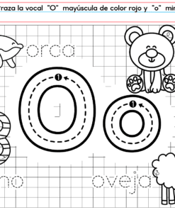 El PREESCOLAR 1 CUADERNILLO DE TRABAJO 2026 incluye ejercicios para trazar la O, colorear un delfín, oso y oveja, trabajar palabras en español como 