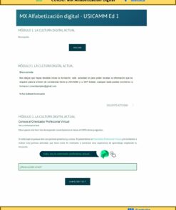 Captura de pantalla del programa del curso digital titulado 