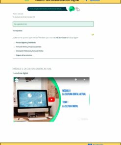 Captura de pantalla del curso online 