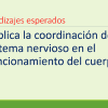Diapositivas en Power Point con VIDEOS Biologia Sistema Nervioso mostrando texto en español, titulado "Aprendizajes Esperados" y el punto de viñeta "Explica la coordinación del sistema nervioso en el funcionamiento del cuerpo.