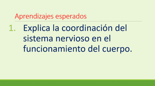 Diapositivas en Power Point con VIDEOS Biologia Sistema Nervioso mostrando texto en español, titulado "Aprendizajes Esperados" y el punto de viñeta "Explica la coordinación del sistema nervioso en el funcionamiento del cuerpo.
