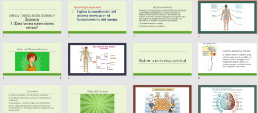 Collage de imágenes y diagramas educativos sobre las Diapositivas en Power Point con VIDEOS Biología Sistema Nervioso, incluyendo descripciones de texto en español, ilustraciones del sistema nervioso humano, diagramas cerebrales y capturas de pantalla de videos relacionados.