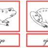 Dos dibujos idénticos de una rana están uno al lado del otro, cada uno encerrado en un borde rojo. Debajo del dibujo de la izquierda está la palabra 