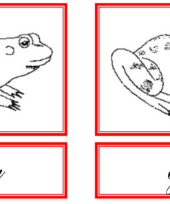 Dos dibujos idénticos de una rana están uno al lado del otro, cada uno encerrado en un borde rojo. Debajo del dibujo de la izquierda está la palabra 
