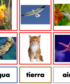 Juego de los animales