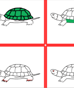 Anatomía de la tortuga (Material Montessori)