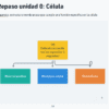 Un diagrama en español que revisa los componentes de la celda. Enumera tres requisitos para una célula: material genético, membrana celular y metabolismo. "Resumen de la Célula, Biología" está en negrita y se indica encima de estos requisitos. El resumen se presenta sobre un fondo blanco con cuadros rectangulares multicolores.