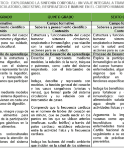 Una mesa que muestra un **Proyecto Didáctico: EXPLORANDO LA SINFONÍA CORPORAL (Multigrado 4° 5° Y 6° Grado)**. Describe contenidos y procesos de aprendizaje para 4.º, 5.º y 6.º grado centrados en varios sistemas del cuerpo humano, como los sistemas circulatorio, digestivo, respiratorio e inmunológico.