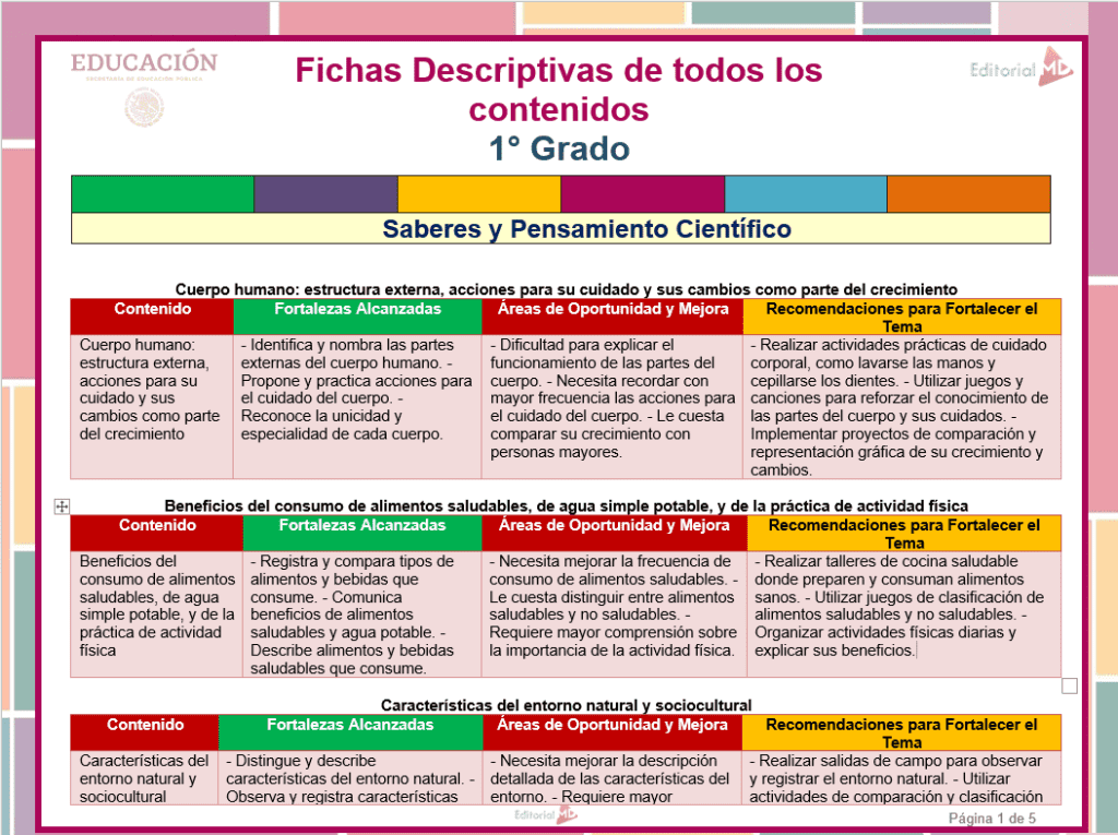 Fichas Descriptivas 1° Grado Primaria NEM (Descarga)