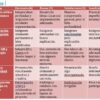 Proyecto educativo: migración, canciones y tecnologías digitales 7 Una tabla de rúbricas en español con cuatro criterios (filas) y cuatro niveles de rendimiento (columnas: Excelente, Bueno, Satisfactorio, Insuficiente), en la que se describen las expectativas para el análisis de canciones, la justificación de imágenes, el uso de QR/tecnología y el trabajo en equipo.