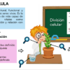 Un alumno de dibujos animados examina una planta con una lupa. El texto define célula, explica su clasificación (procariota, eucariota) y muestra un diagrama de mitosis frente a meiosis. Un televisor muestra la imagen de una célula.