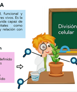 Un alumno de dibujos animados examina una planta con una lupa. El texto define célula, explica su clasificación (procariota, eucariota) y muestra un diagrama de mitosis frente a meiosis. Un televisor muestra la imagen de una célula.