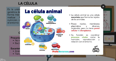 Diagrama de una célula animal con partes etiquetadas, incluidos el núcleo, el nucléolo, los centríolos, la vacuola, el retículo endoplásmico, la mitocondria, el lisosoma y el aparato de Golgi. El texto en español explica las características de las células animales.