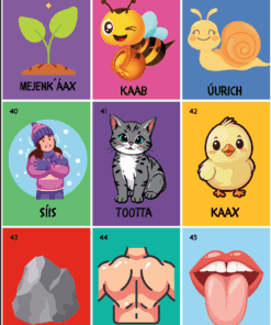Una colorida cuadrícula de 9 tarjetas ilustradas, cada una con un dibujo y la palabra correspondiente en maya yucateco: una plantita, una abeja, un caracol, una niña, un gato, un pollito, una roca, un torso humano y una boca abierta con la lengua afuera.