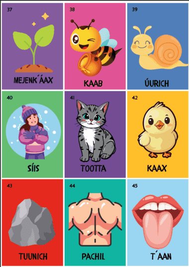 Una colorida cuadrícula de 9 tarjetas ilustradas, cada una con un dibujo y la palabra correspondiente en maya yucateco: una plantita, una abeja, un caracol, una niña, un gato, un pollito, una roca, un torso humano y una boca abierta con la lengua afuera.