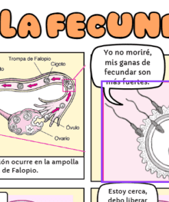Ilustración de estilo cómic sobre la fecundación. Izquierda: diagrama de la fecundación en la trompa de Falopio. Derecha: un espermatozoide se acerca a un óvulo, con un globo sonoro que dice: "Yo no moriré, mis ganas de fecundar son más fuertes.