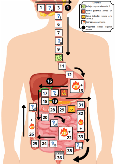 Juego de mesa sobre un diagrama de torso humano que muestra el aparato digestivo. Las casillas numeradas (1-36) siguen un recorrido desde la boca hasta el recto, con iconos que representan retrocesos y avances explicados en una leyenda en la parte superior derecha.