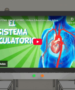 En la pizarra de la clase se reproduce un vídeo de dibujos animados sobre el sistema circulatorio que muestra un cuerpo humano ilustrado con venas, arterias y un corazón, con el título 