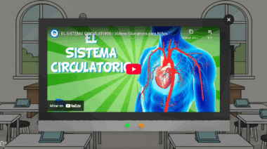En la pizarra de la clase se reproduce un vídeo de dibujos animados sobre el sistema circulatorio que muestra un cuerpo humano ilustrado con venas, arterias y un corazón, con el título "EL SISTEMA CIRCULATORIO" en negrita.