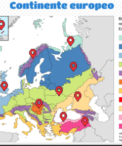 Mapa de Europa codificado por colores que muestra sus regiones biogeográficas, incluidas las regiones ártica, boreal, atlántica, continental, alpina, panónica, mediterránea, macaronésica, esteparia, del Mar Negro y de Anatolia.