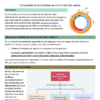 Infografía titulada "Control Ciclo Celular" que explica el proceso, factores de regulación y el sistema de control del ciclo celular, con gráficos circulares y recuadros de texto en colores verde y rojo.