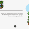 Historia Interactiva Ecosistemas del Ecuador 5 Dos coloridas ilustraciones tituladas