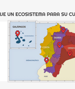 Historia Interactiva Ecosistemas del Ecuador 6 Mapa de Ecuador señalando las regiones Costa, Sierra, Oriente y Galápagos con pinos rojos. A la izquierda, un dibujo de un guardaparques sonriente y el texto