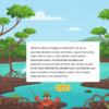 Historia Interactiva Ecosistemas del Ecuador 7 Ilustración de un alegre cangrejo con sombrero en un frondoso bosque de manglares con raíces sinuosas, árboles verdes y agua azul. Un bocadillo blanco contiene un mensaje de bienvenida que explica la importancia de los manglares.