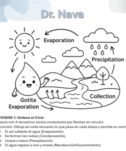 Un diagrama en blanco y negro ilustra el ciclo del agua con etapas etiquetadas: evaporación, condensación, precipitación y recogida, con el sol, nubes, gotas de lluvia, un río y flechas que muestran el flujo del ciclo.
