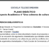 PROYECTO ACADÉMICO 4: UNA COLMENA DE CULTURAS - LENGUAJES