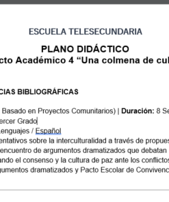 PROYECTO ACADÉMICO 4: UNA COLMENA DE CULTURAS - LENGUAJES