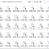 Paquete de Planeaciones anuales, Secundaria, Disciplina História III 24 Captura de pantalla 2026 10 25 a las 5.53.03 p.m