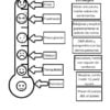Una hoja de ejercicios con flechas que empareja seis caras que muestran emociones -enfado, frustración, preocupación, tristeza, calma y felicidad- con las correspondientes estrategias de afrontamiento enumeradas en los recuadros de la derecha.