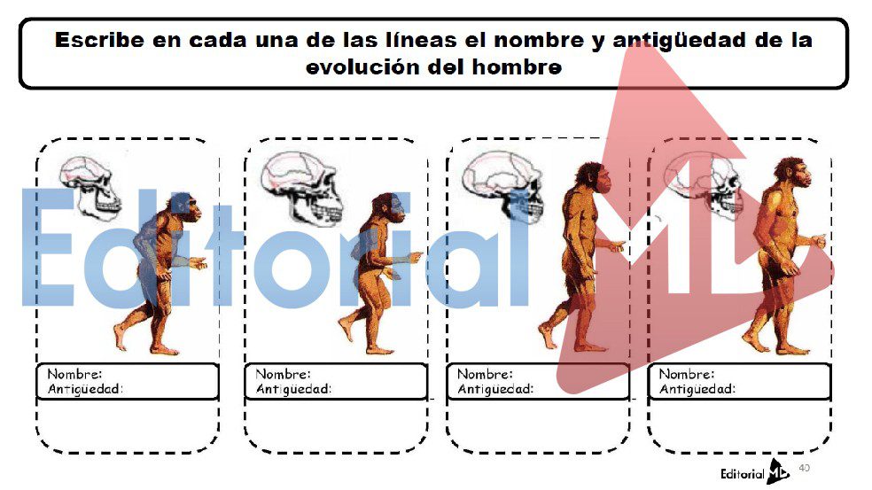 Ciencias para niños