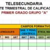 Control de calificaciones para Telesecundaria