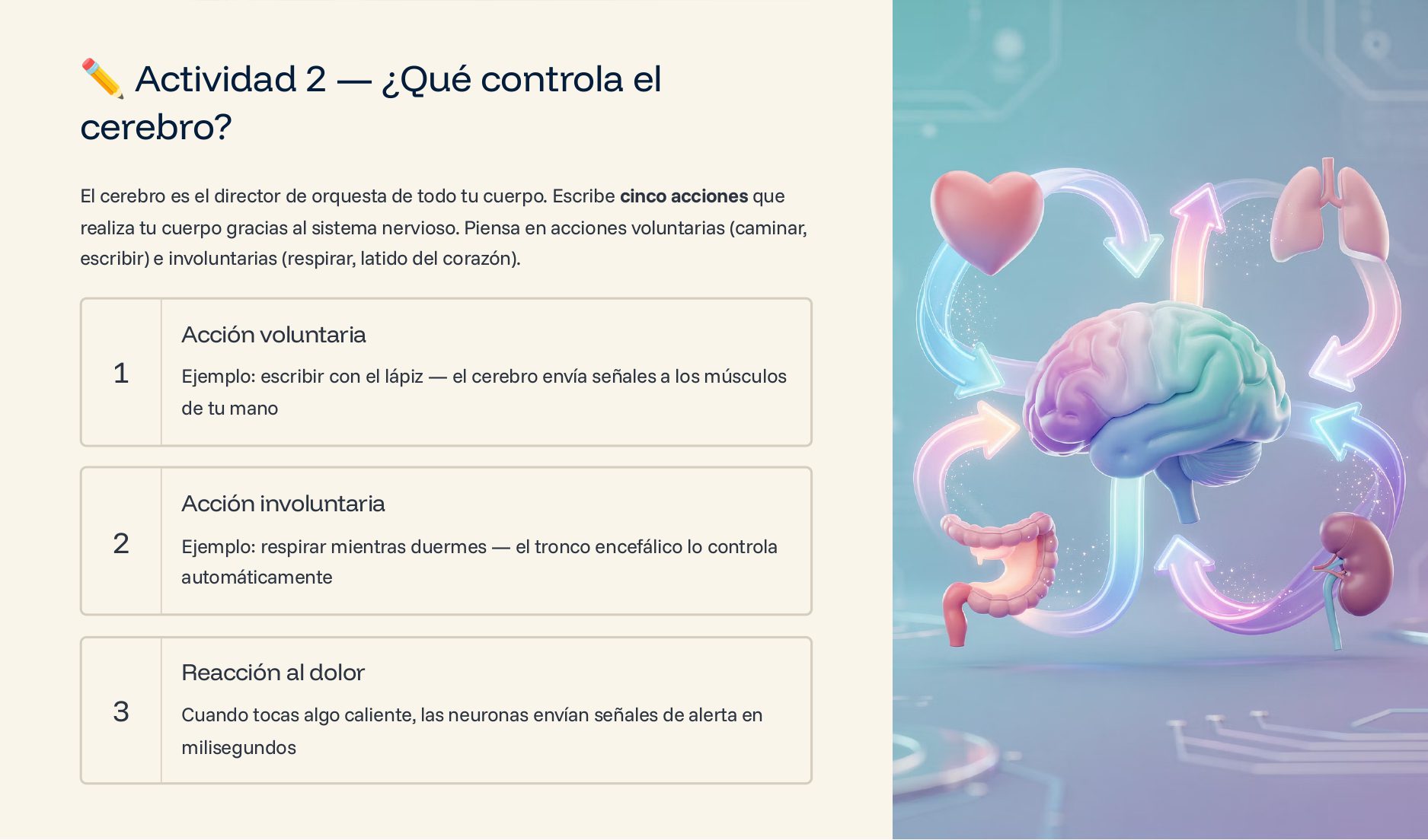 Cuadernillo Ciencias Biología – 1° de Secundaria NEM 3 Cuadernillo Ciencias Biología – 1° de Secundaria NEM - Image 3
