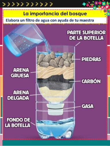 Un diagrama muestra cómo hacer un filtro de agua en una botella de plástico utilizando capas de piedras, arena gruesa, arena fina, carbón vegetal y gasa, vertiendo el agua por la parte superior. El texto está en español.